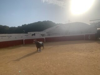 IMG_8420.jpeg