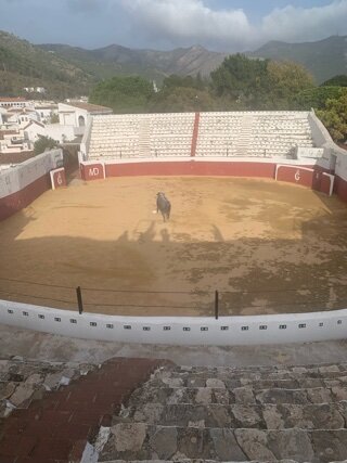 IMG_8423.jpeg