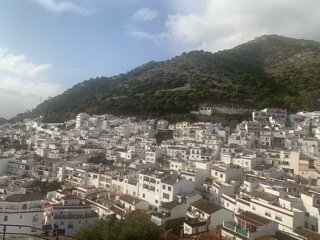 IMG_8429.jpeg