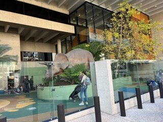 IMG_8526.jpeg