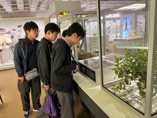 IMG_8530.jpeg