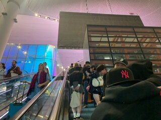 IMG_8809.jpeg
