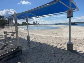 IMG_9405.jpeg