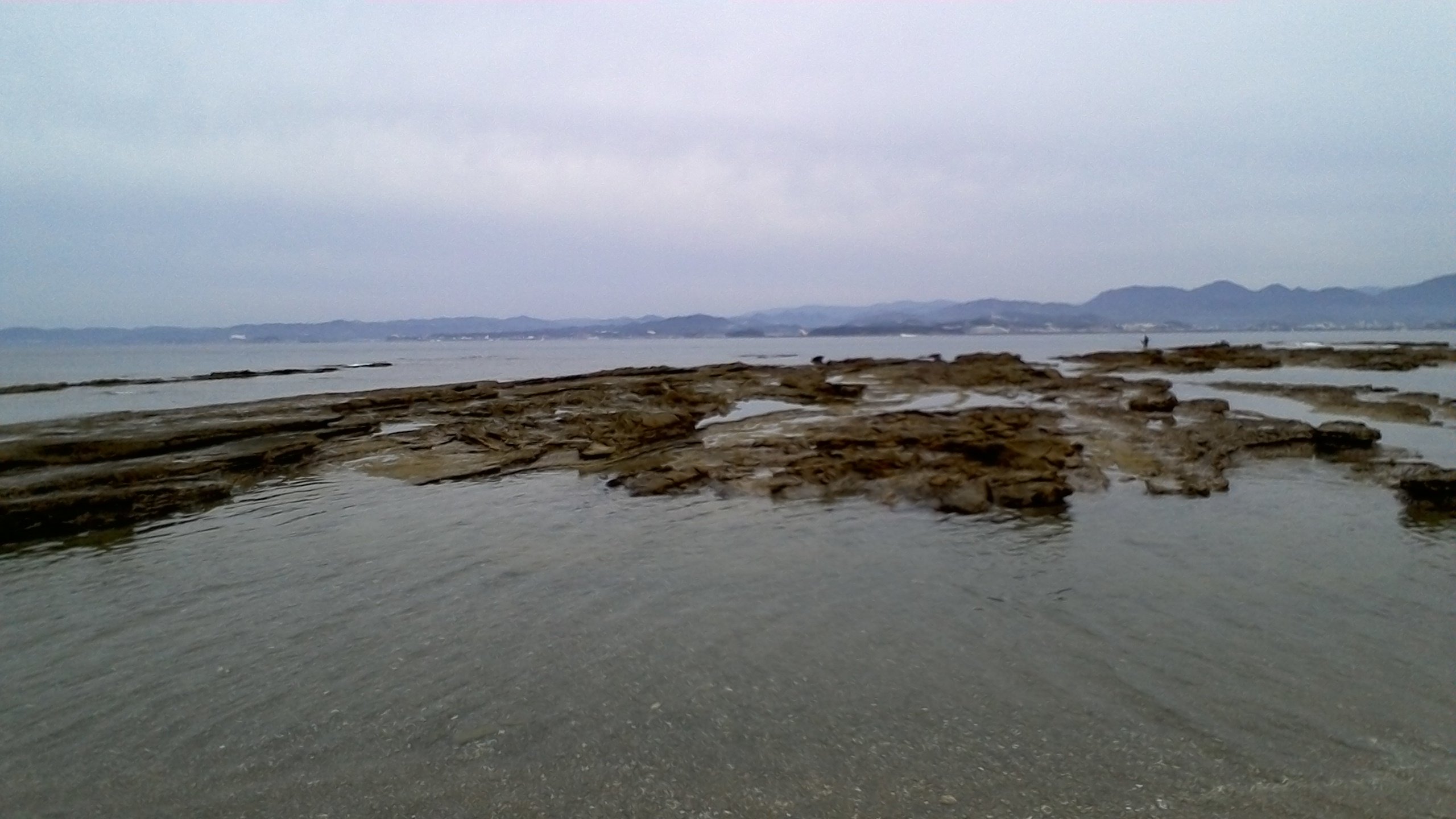https://www.hatsushiba.ed.jp/ritsumeikan/life/WIN_20211118_09_23_28_Pro.jpg