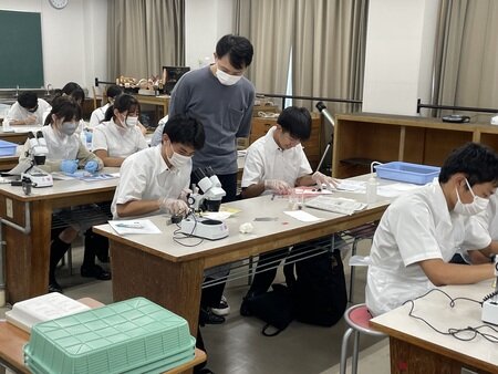 夏期生物特別実習