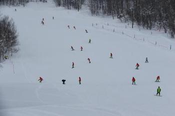 IMG_4115.jpg