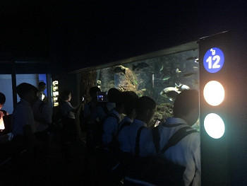 RE03.jpg