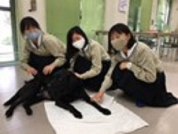 REmd01.jpg