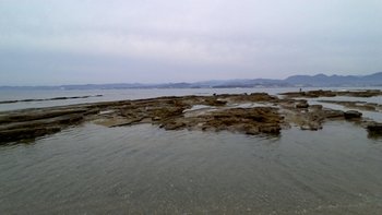 WIN_20211118_09_23_28_Pro.jpg