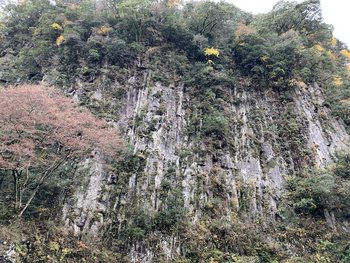 image_50734081.jpg
