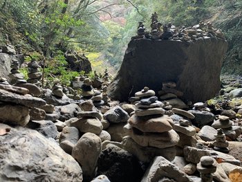 image_50737153.jpg