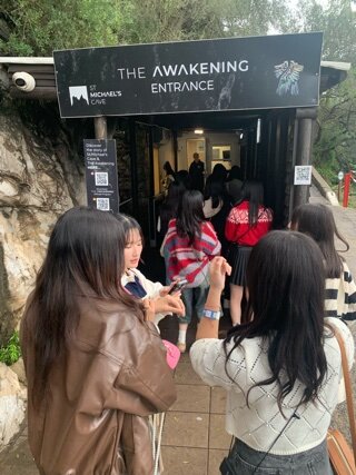 IMG_8138.jpeg