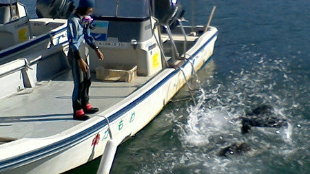https://www.hatsushiba.ed.jp/ritsumeikan/life/d20932228c90482f80d62926e1fbe229c4d0e7f8.jpg
