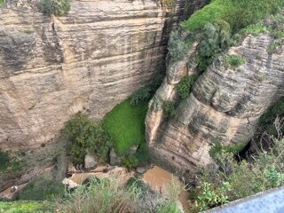 IMG_1508.jpeg