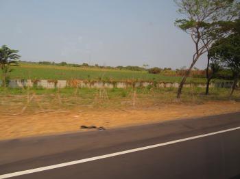 s_IMG_5292.JPG