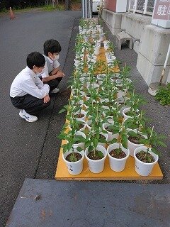 20230529_技術.jpg