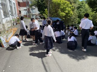 IMG_0433.JPG