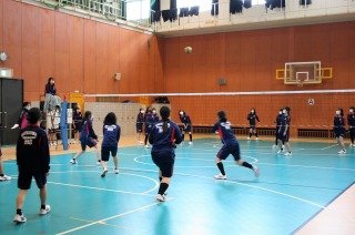 IMG_8246.jpg
