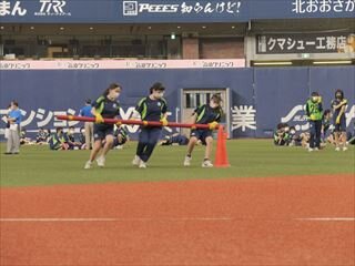 P1033979_R_R.JPG