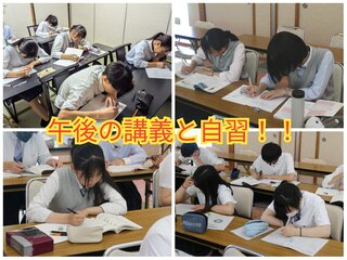 PhotoCollage_1721981574719.jpg