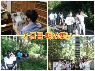 PhotoCollage_1722138601178.jpg