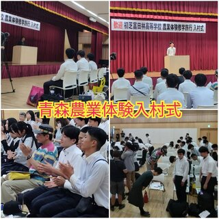 PhotoCollage_1725440680501.jpg
