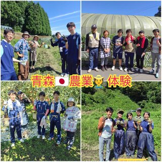 PhotoCollage_1725659886275.jpg