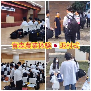 PhotoCollage_1725793629368.jpg