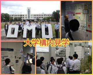 PhotoCollage_1730096565583.jpg