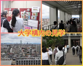 PhotoCollage_1730098561311.jpg