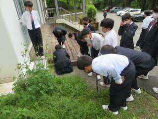 野外観察.JPG